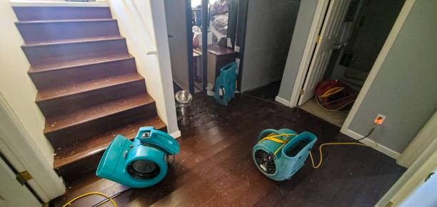 Best Water damage restoration services  in Stanley, NC
