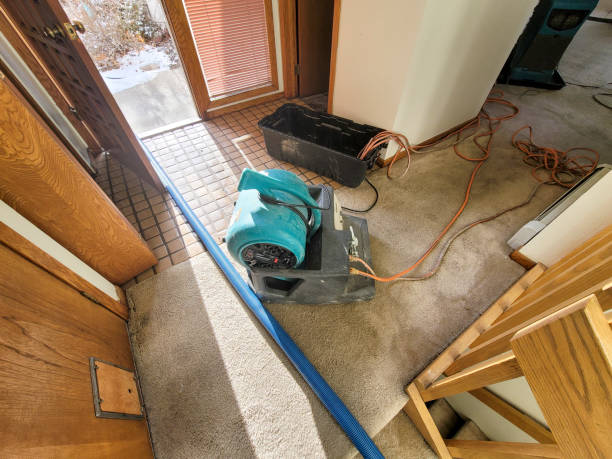 Best Basement water damage restoration  in Stanley, NC