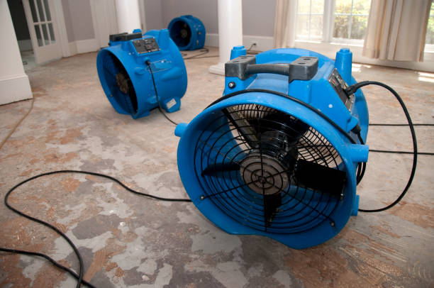 Best Flood restoration services  in Stanley, NC