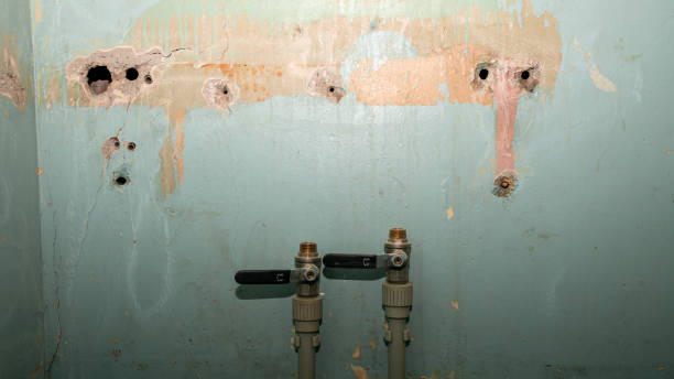 Best Residential water damage restoration  in Stanley, NC