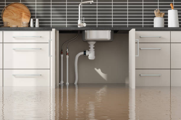 Best Ceiling water damage repair  in Stanley, NC