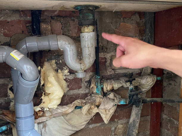 Best Water damage restoration mold remediation  in Stanley, NC